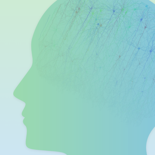 Brain-Score