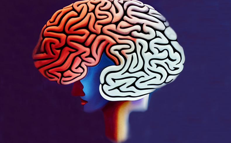Illustration of a large brain on top of a woman's face and neck, against a navy background. The front portion of the brain is shaded red; the rest is white.